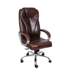 Executive Chairs (29)
