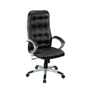 Executive Chairs (33)