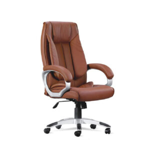Executive Chairs (34)
