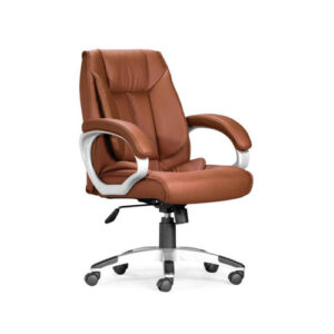 Executive Chairs (35)