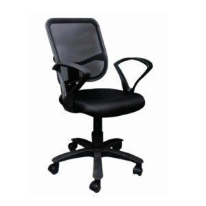 Work Station Chairs (12)