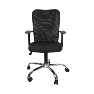 Work Station Chairs (16)