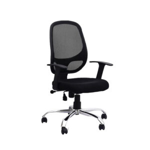 Work Station Chairs (18)