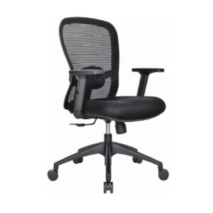 Work Station Chairs (WSC02)