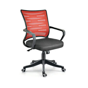 Work Station Chairs (24)