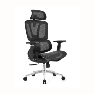 Office Chairs OC0019